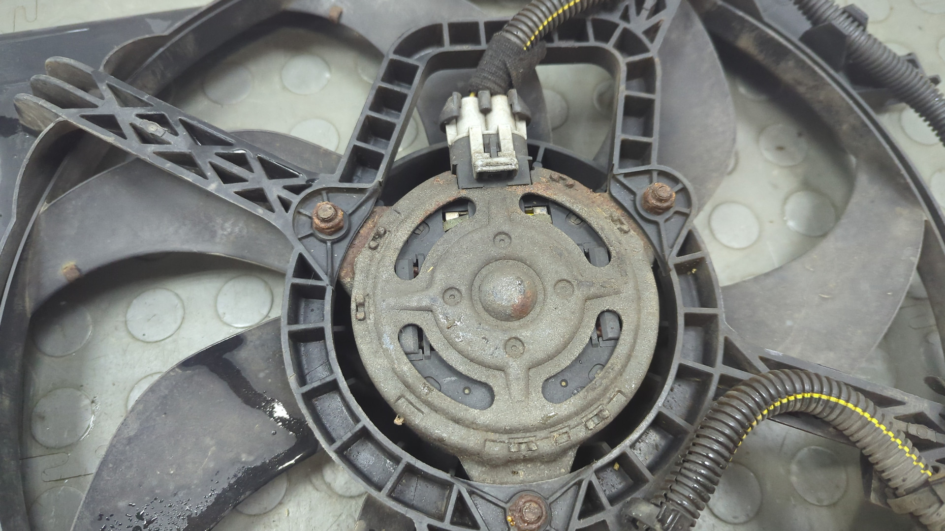 Вентилятор радиатора