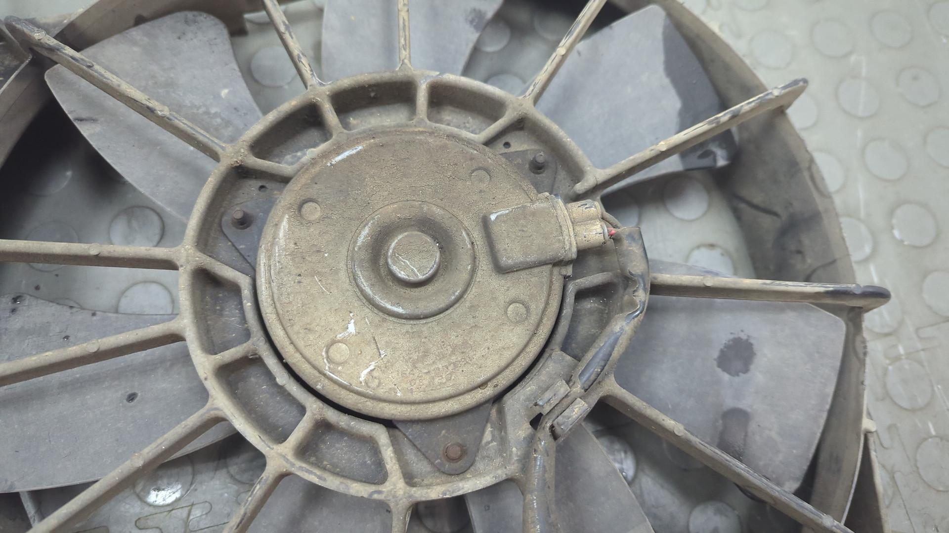 Вентилятор радиатора