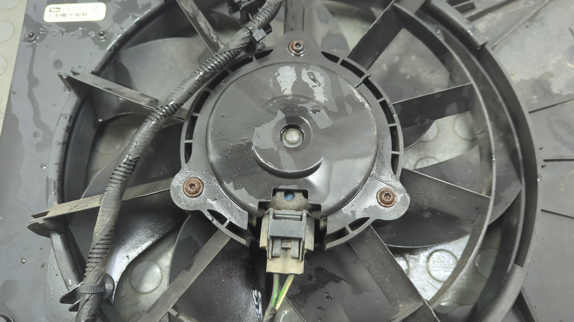 Вентилятор радиатора