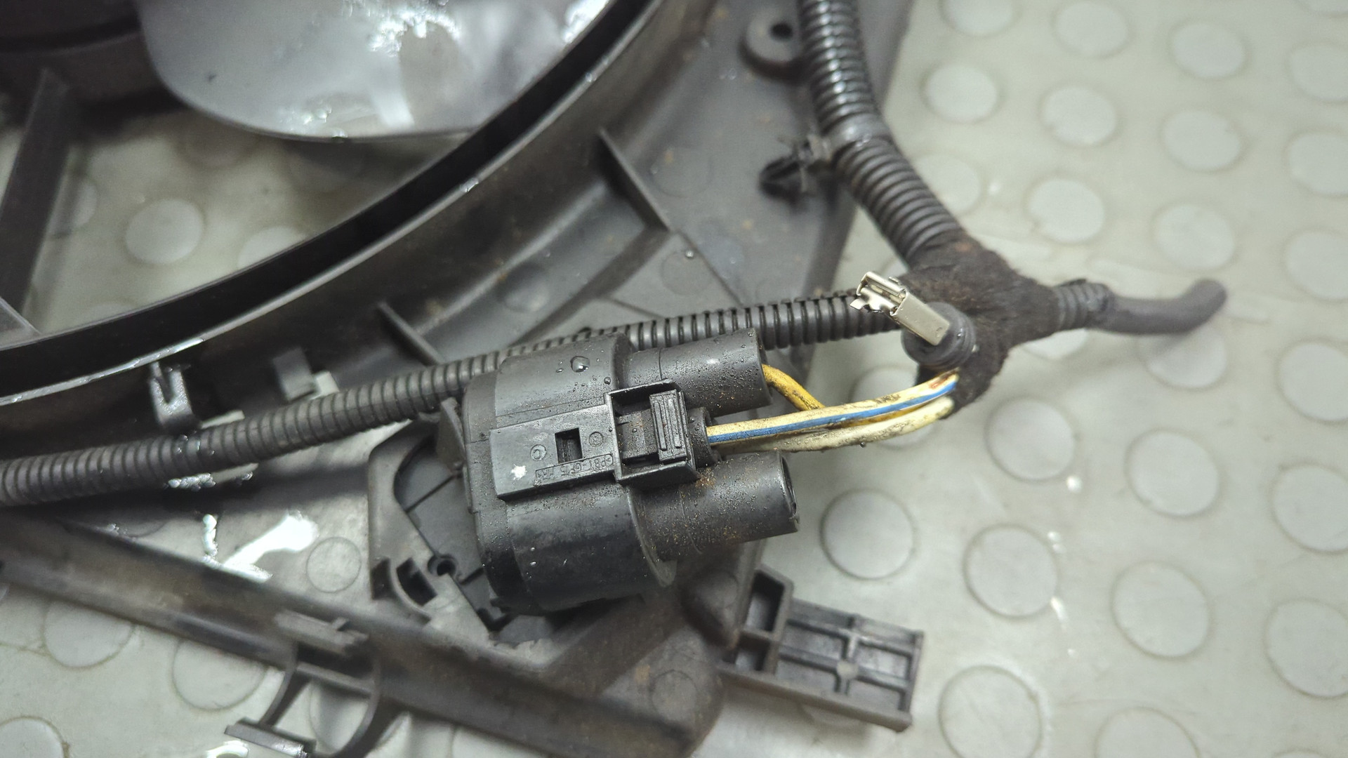 Вентилятор радиатора