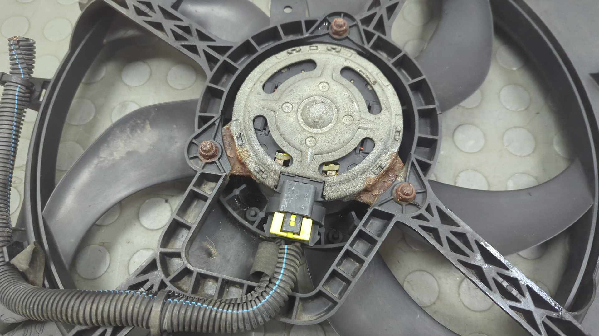 Вентилятор радиатора