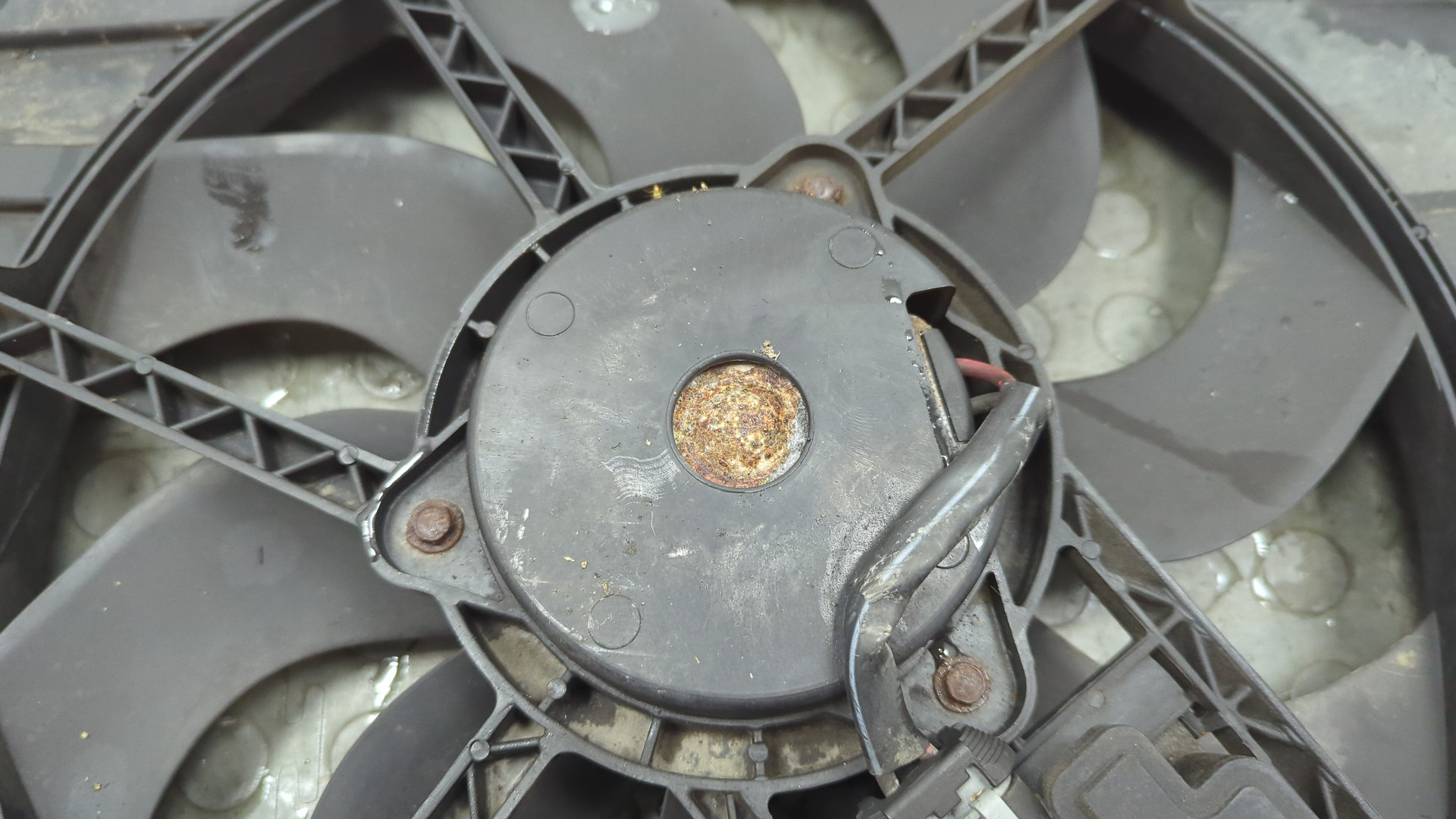 Вентилятор радиатора