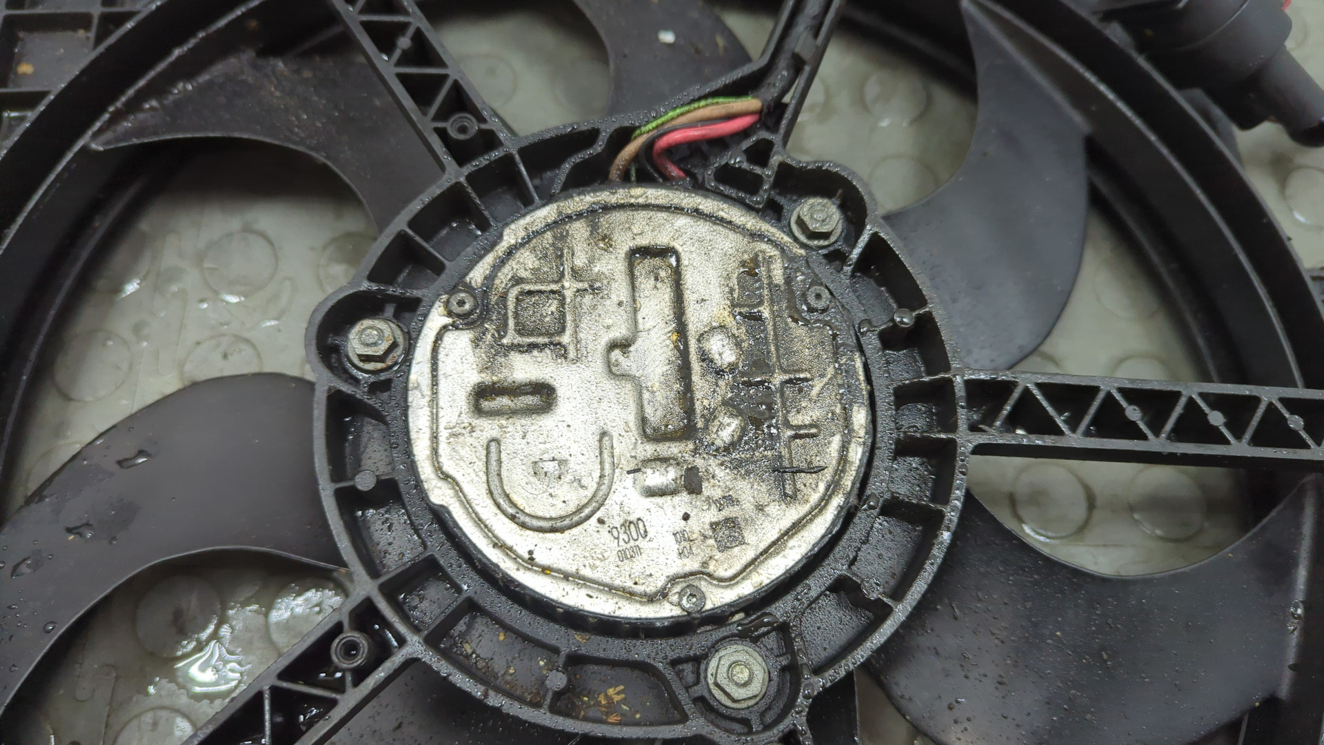 Вентилятор радиатора