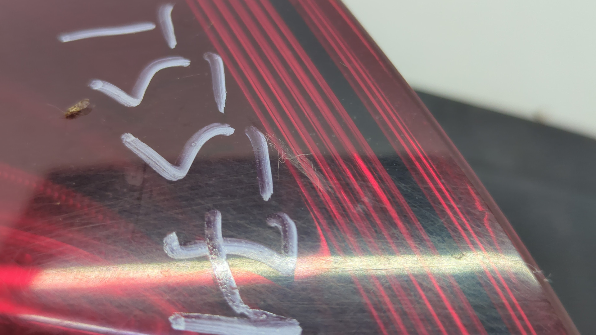 Фонарь задний левый