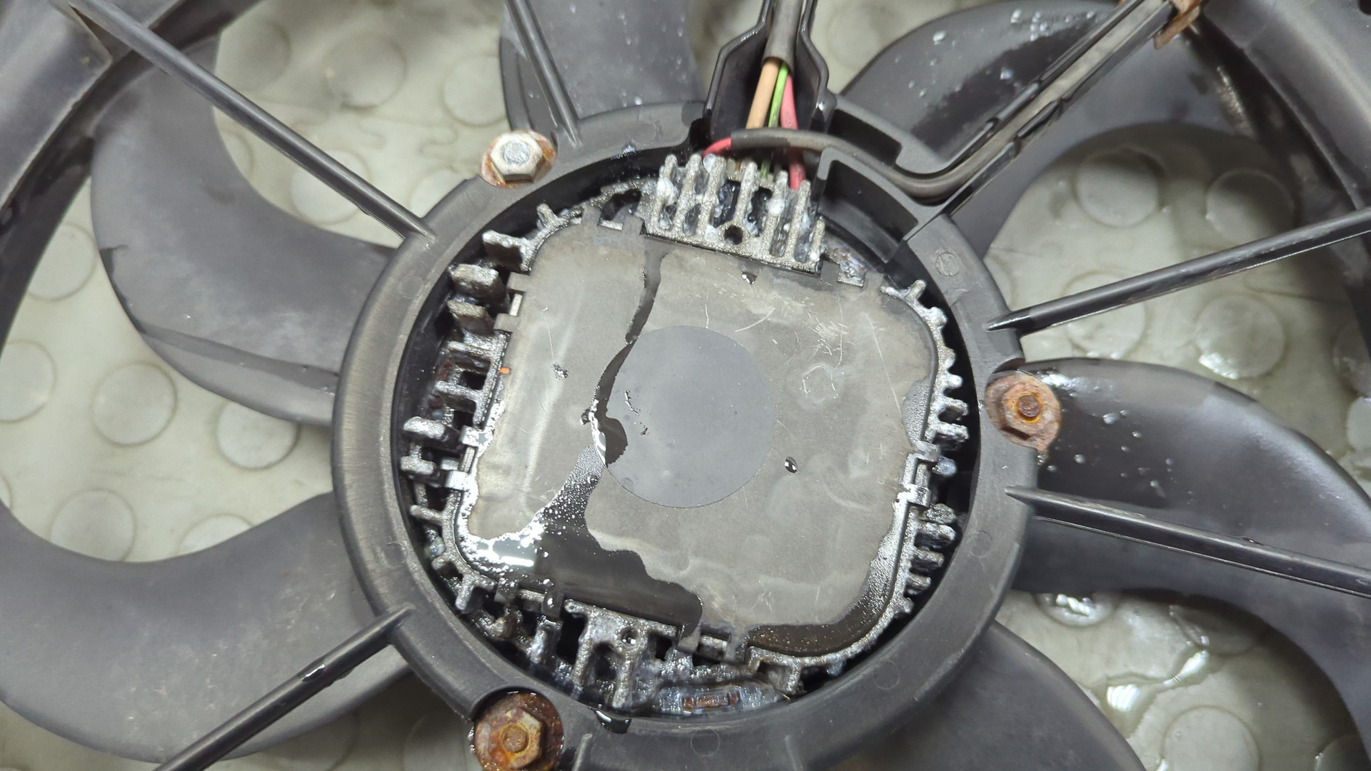 Вентилятор радиатора