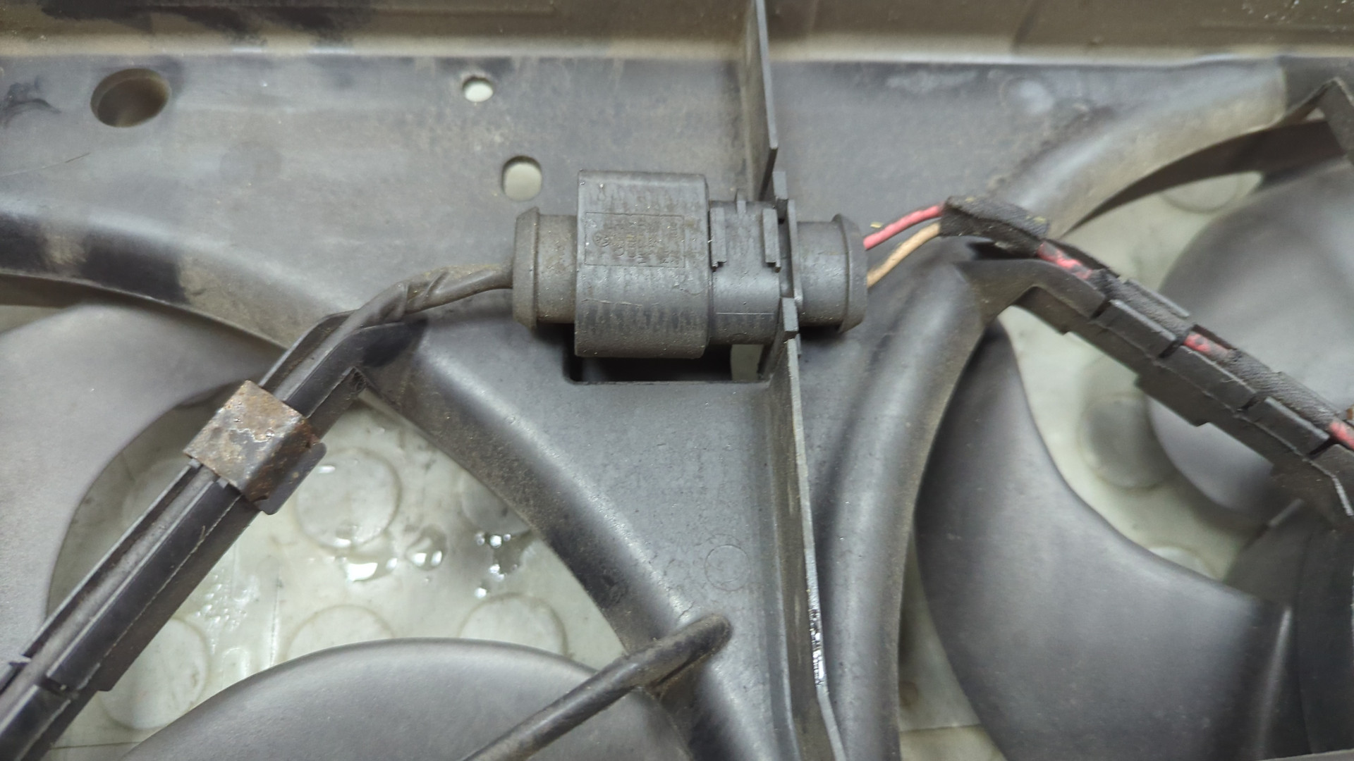 Вентилятор радиатора