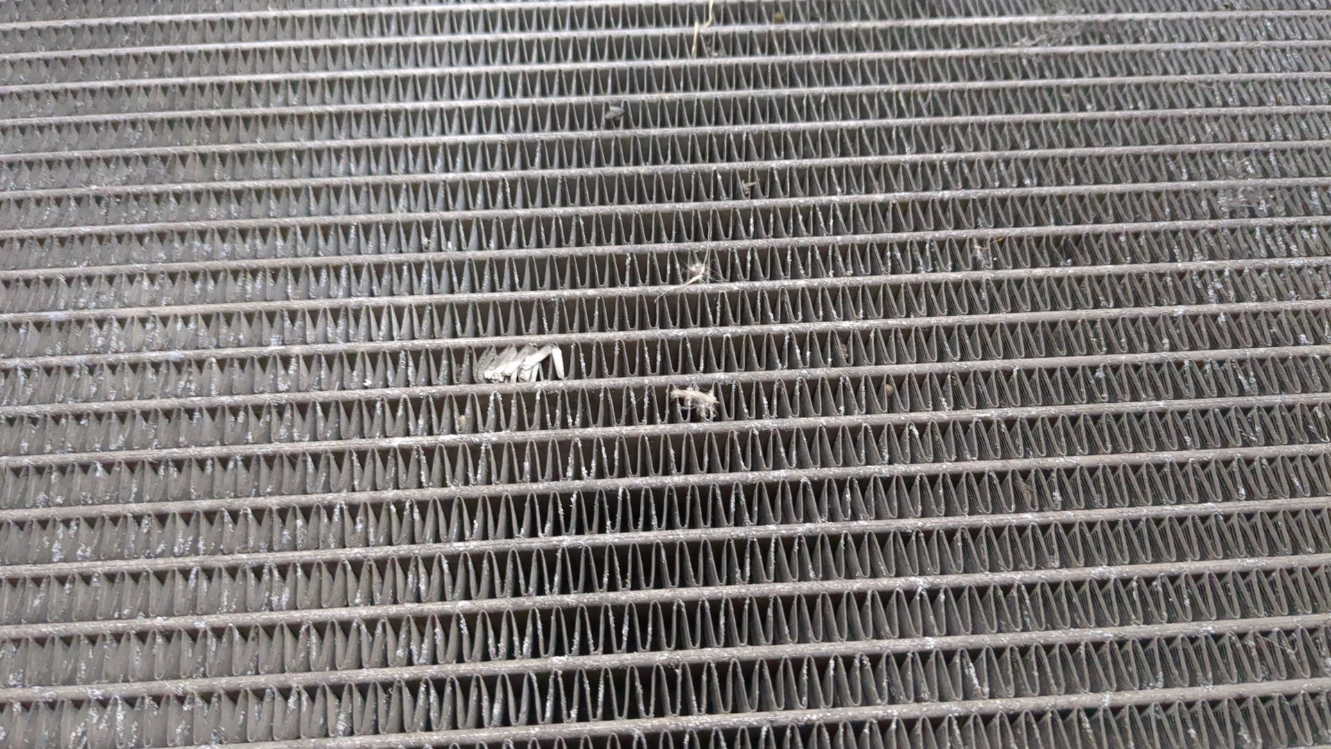 Радиатор охлаждения двигателя основной