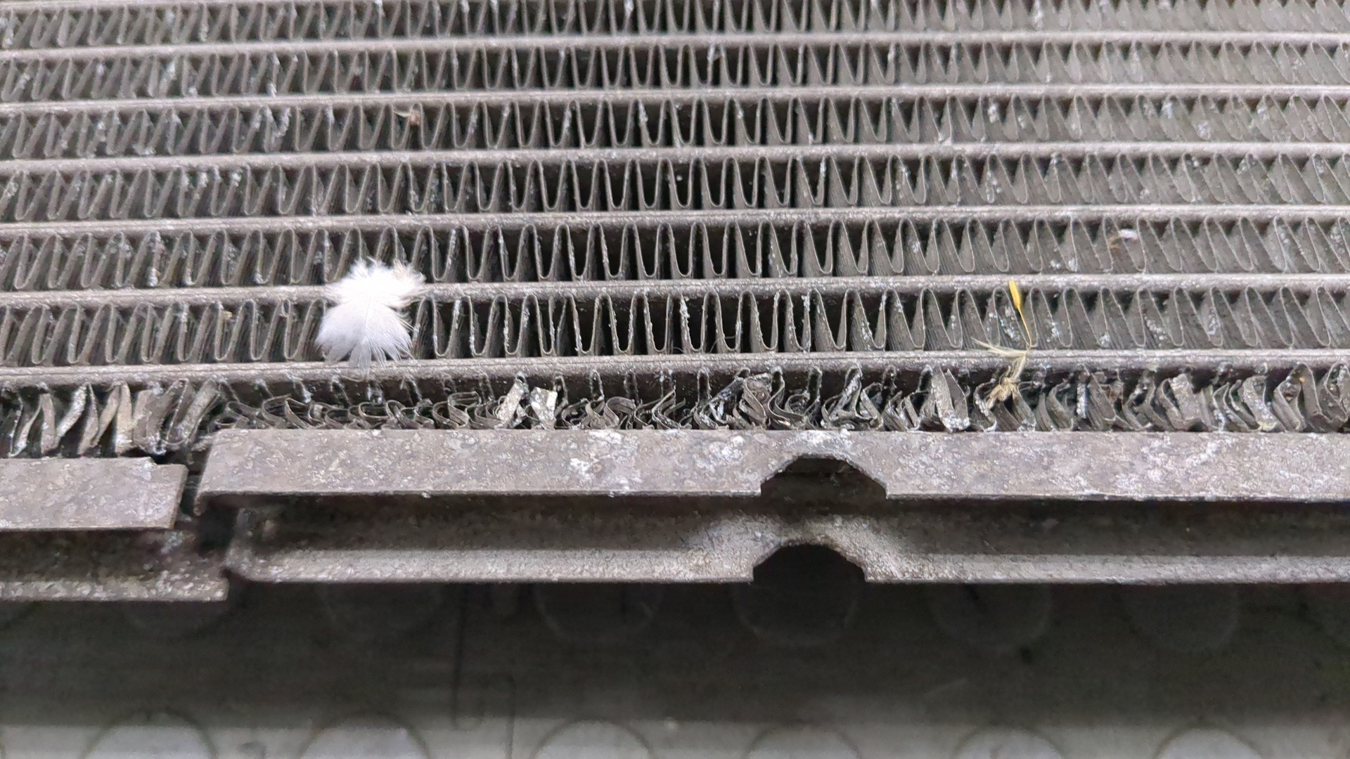 Радиатор охлаждения двигателя основной