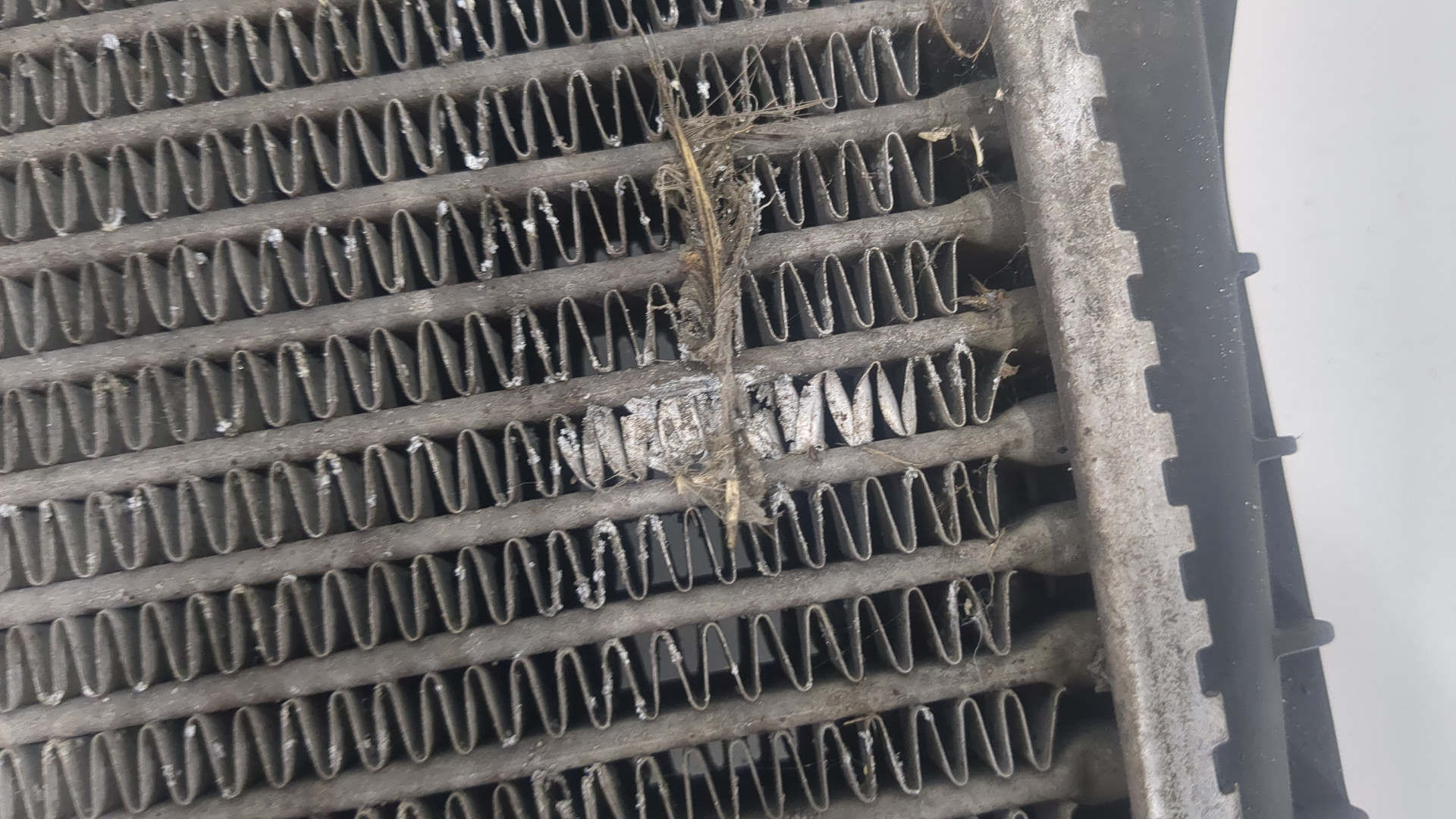 Интеркулер