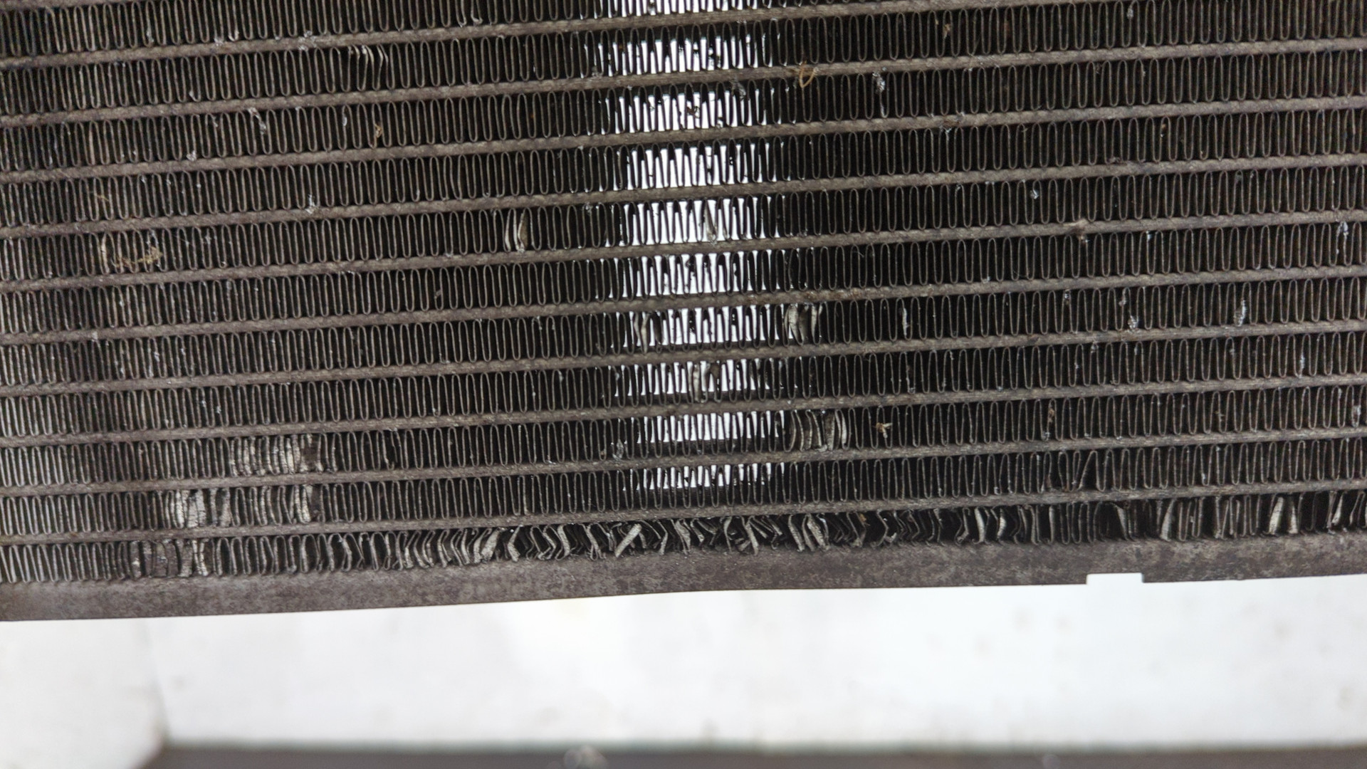 Радиатор охлаждения двигателя основной