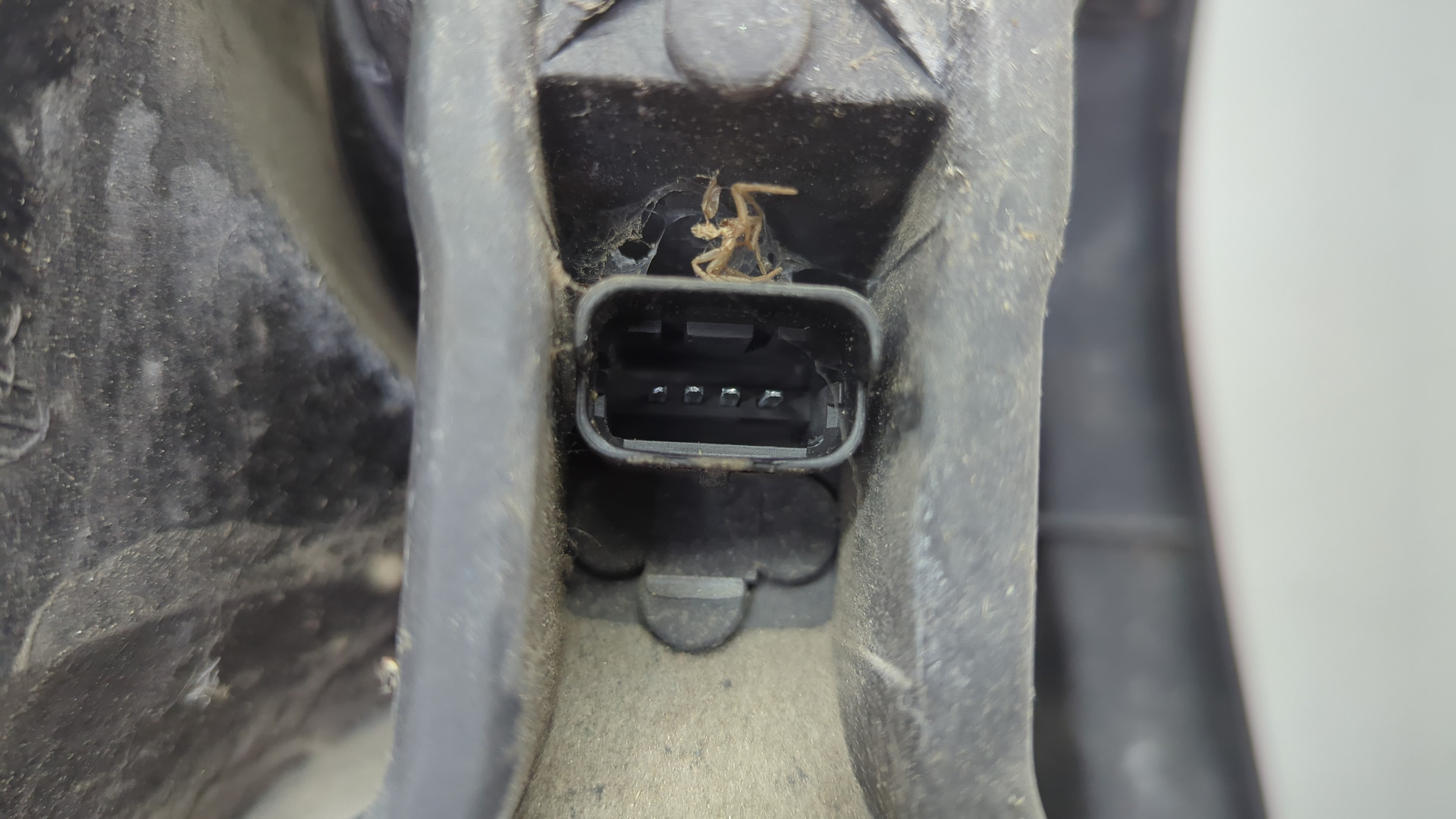 Фонарь задний правый