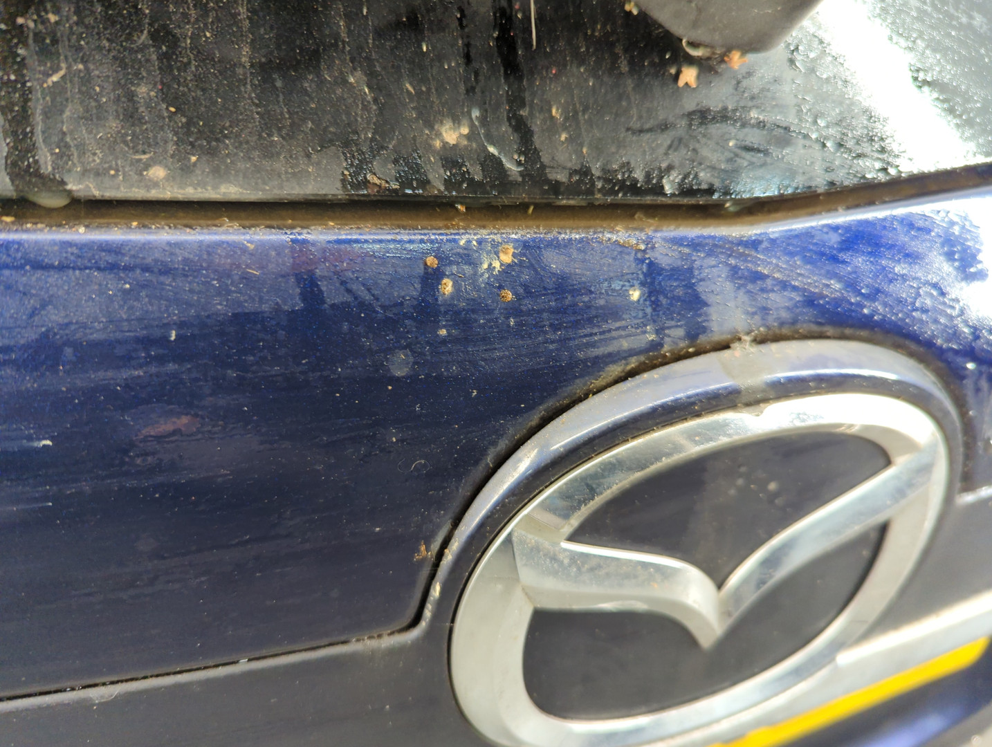 Дверь багажника