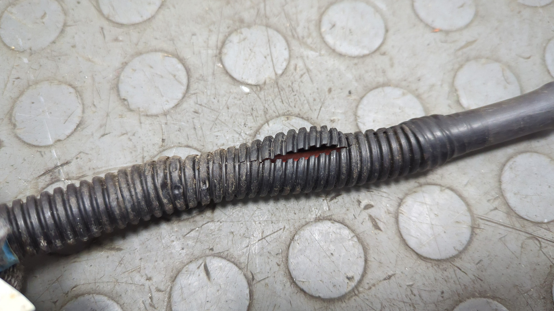 Провод высокого напряжения