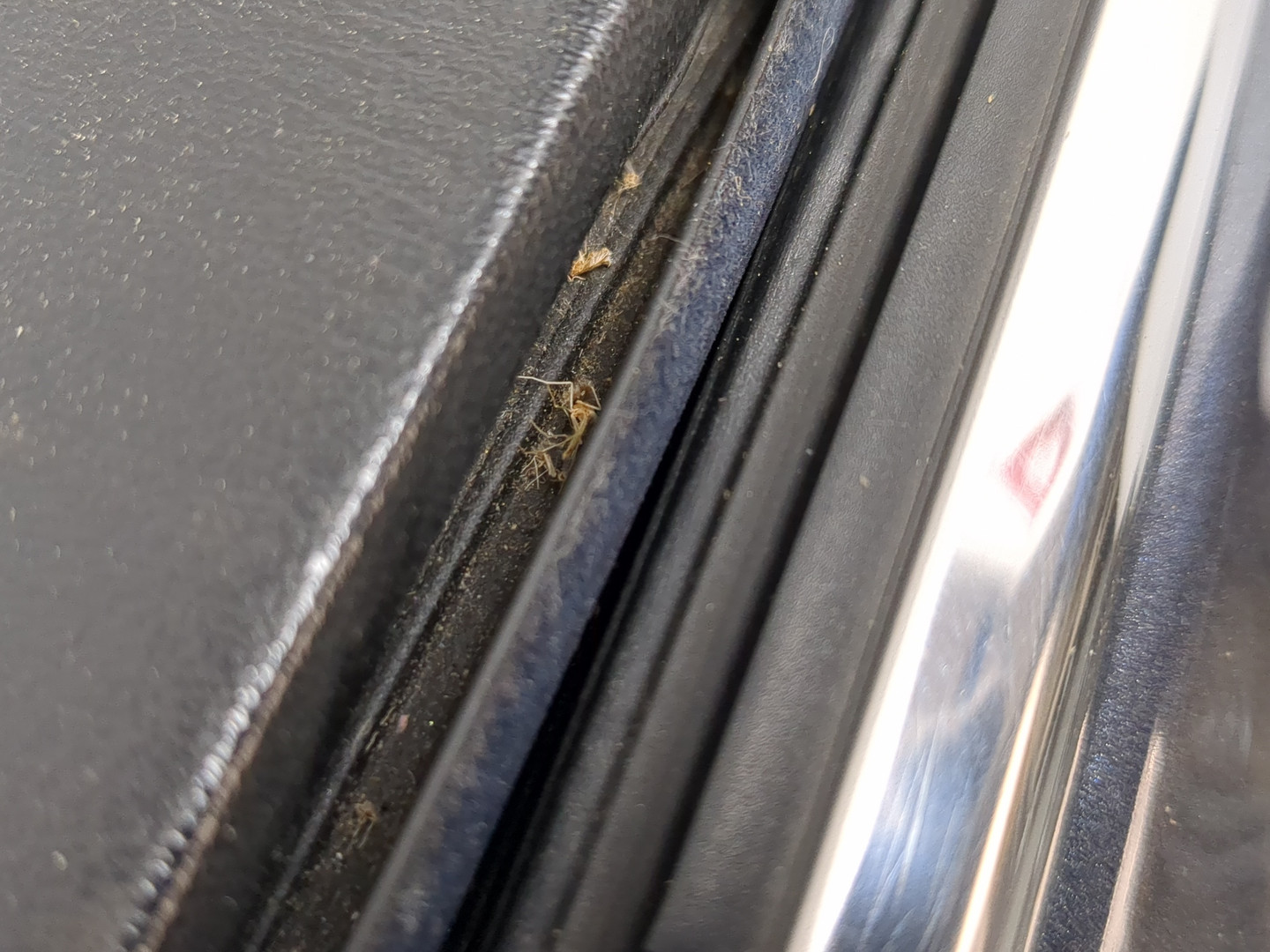 Дверь передняя левая