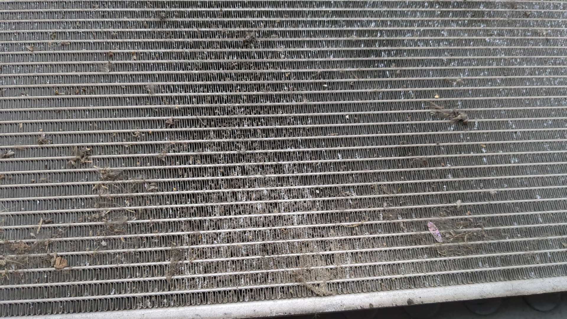 Радиатор охлаждения двигателя основной