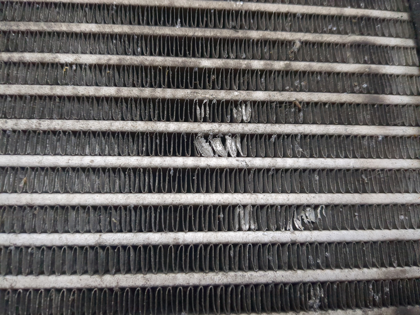 Интеркулер