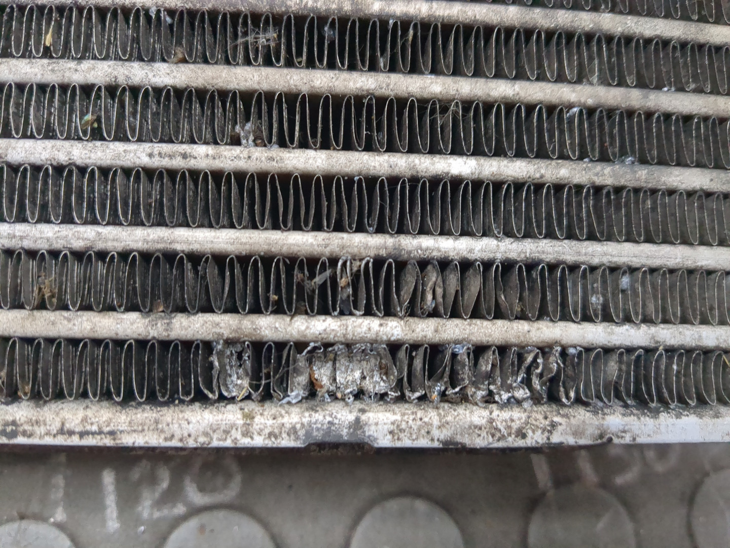 Интеркулер