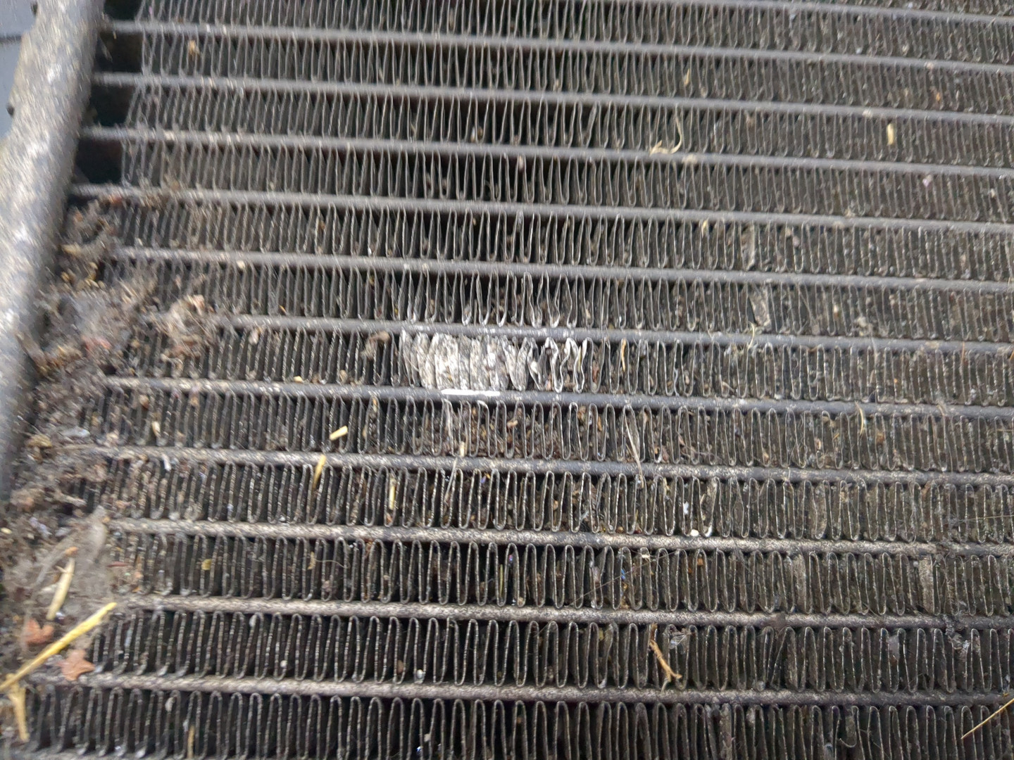 AP-0017036404 AP-0017036404