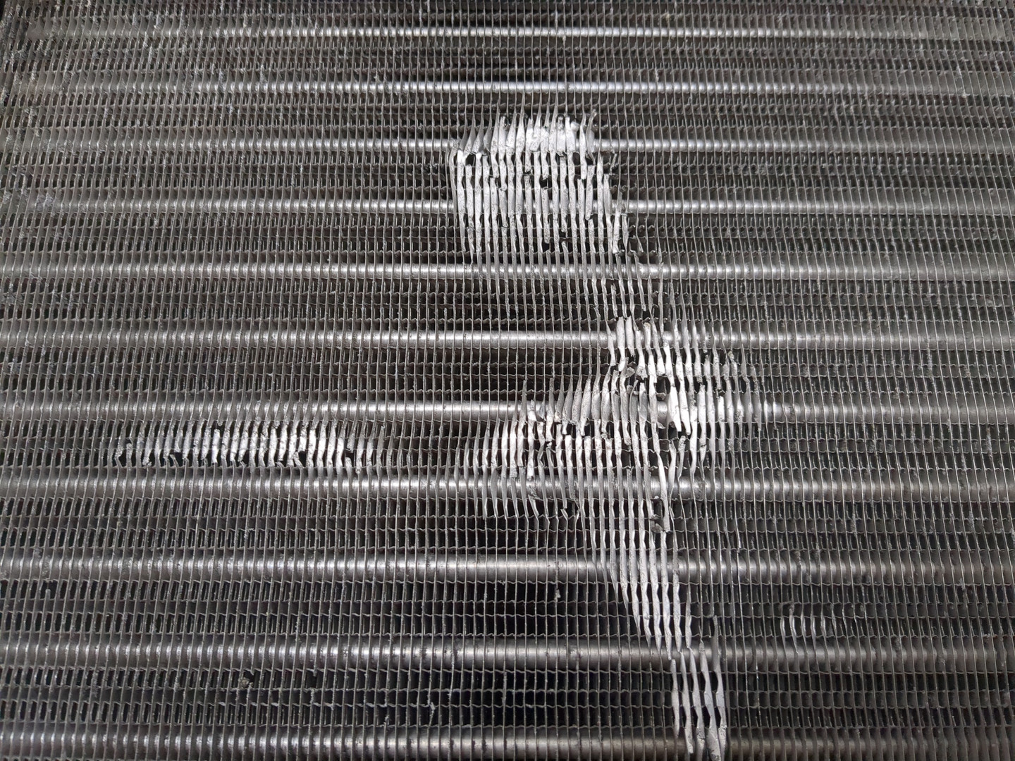 Интеркулер