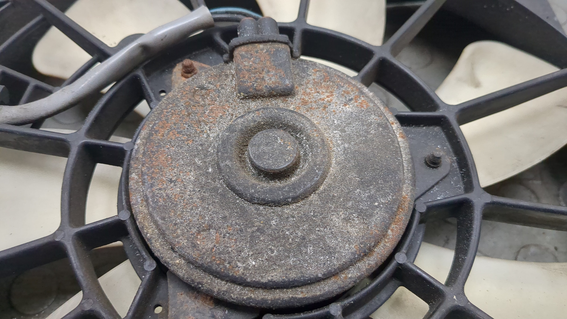 Вентилятор радиатора