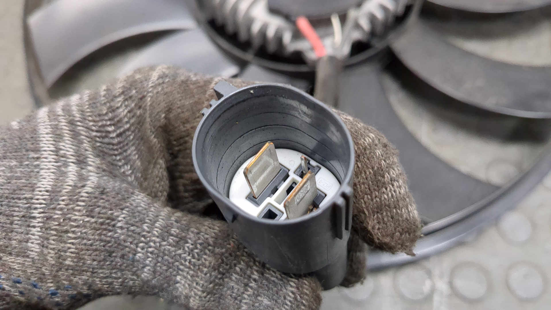 Вентилятор радиатора