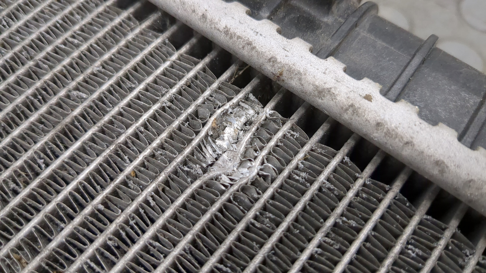 Радиатор охлаждения двигателя основной