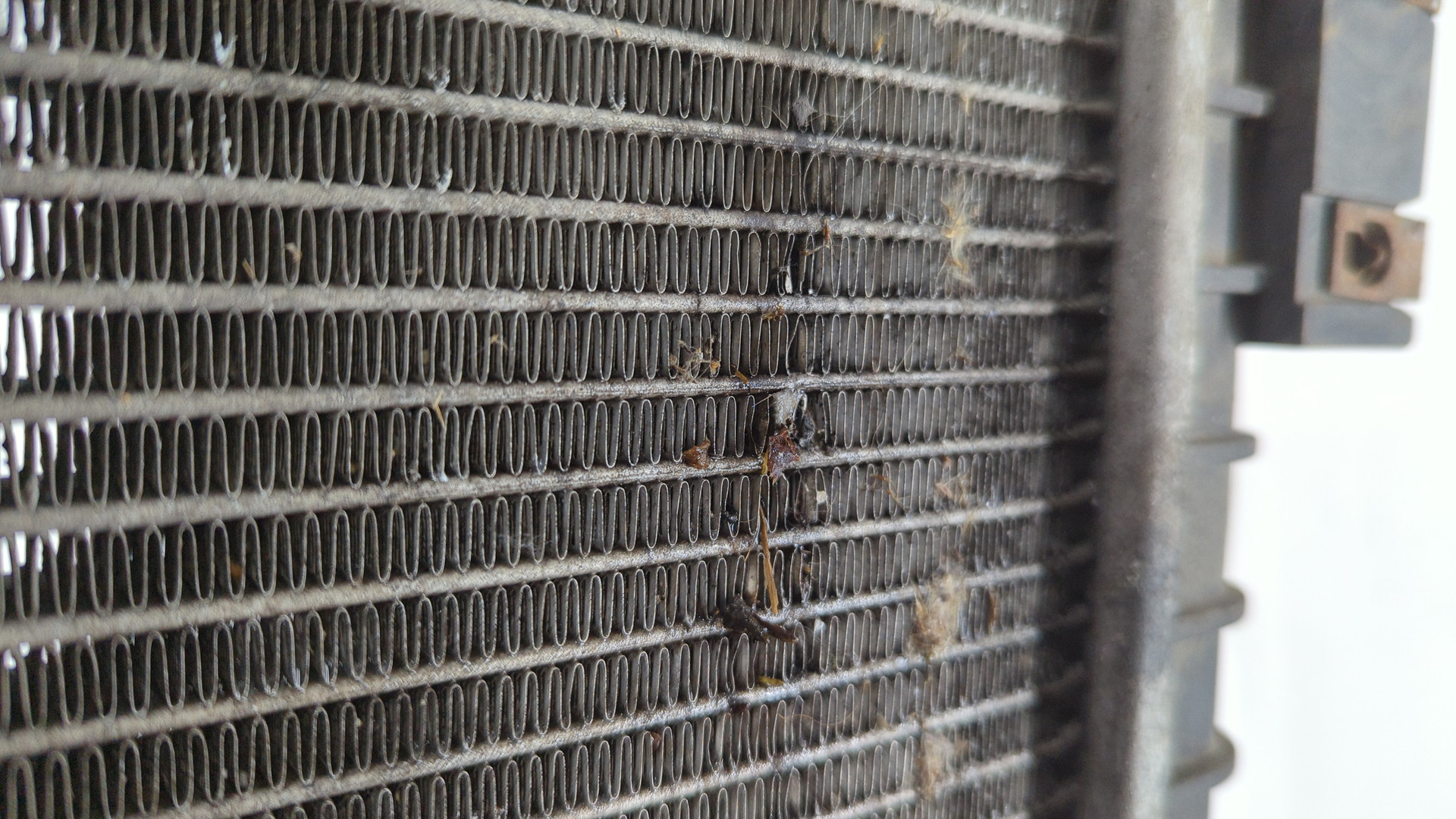 Радиатор охлаждения двигателя основной