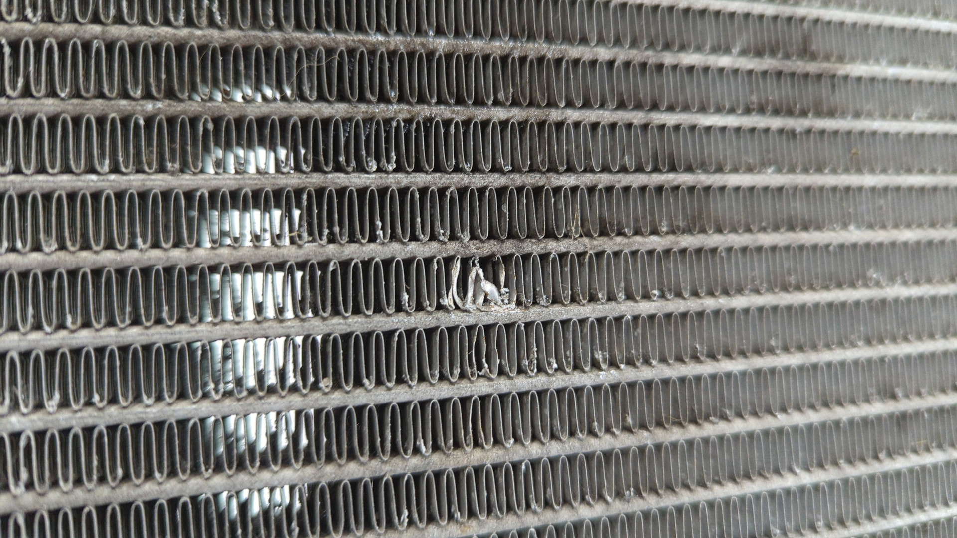 Радиатор охлаждения двигателя основной