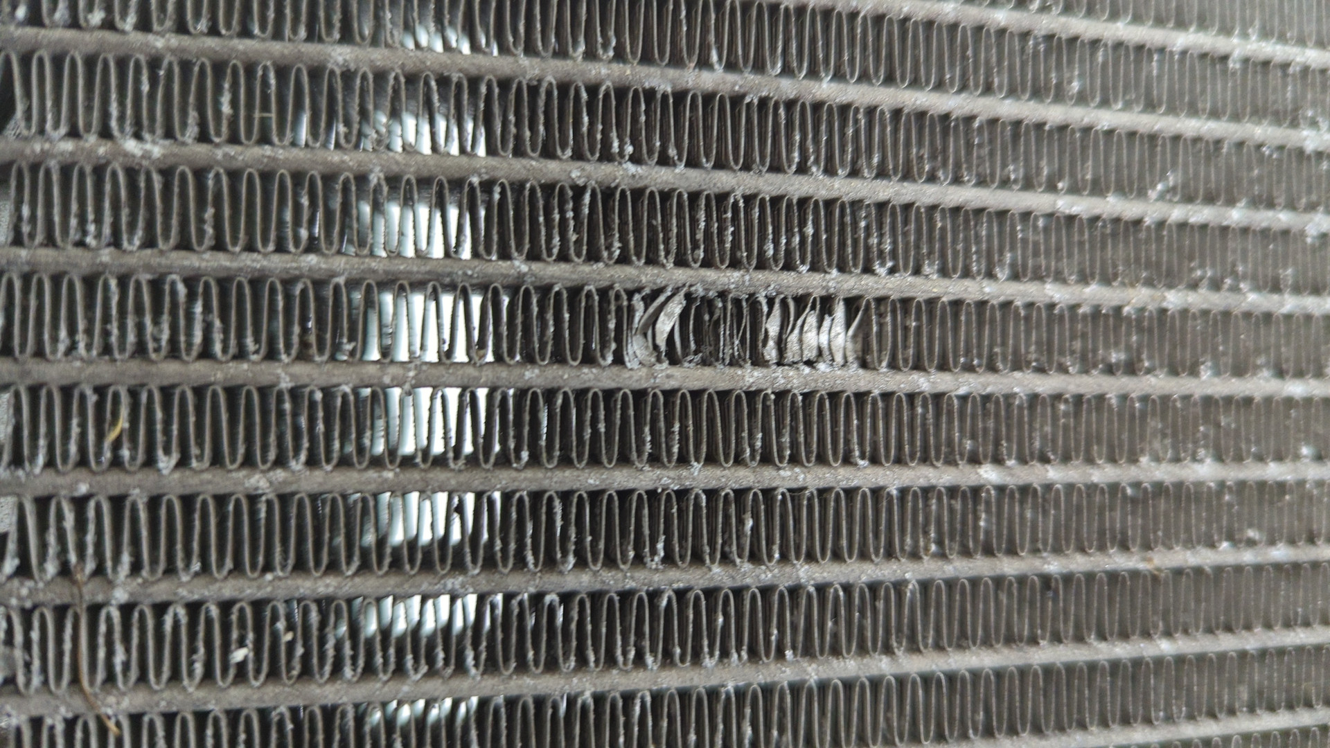 Радиатор охлаждения двигателя основной