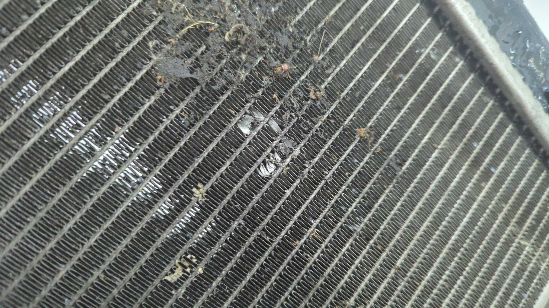 Радиатор охлаждения двигателя основной