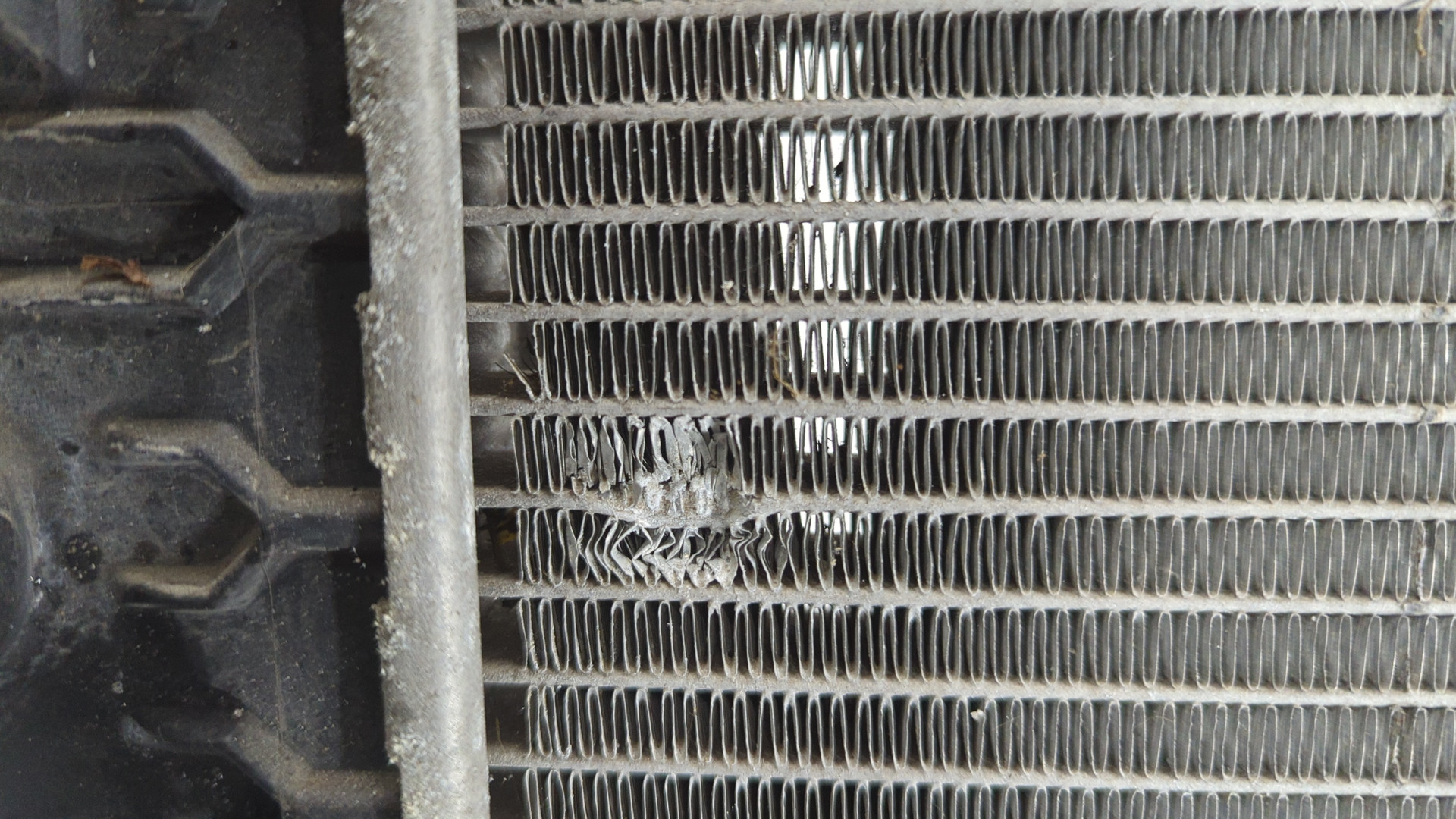 Радиатор охлаждения двигателя основной