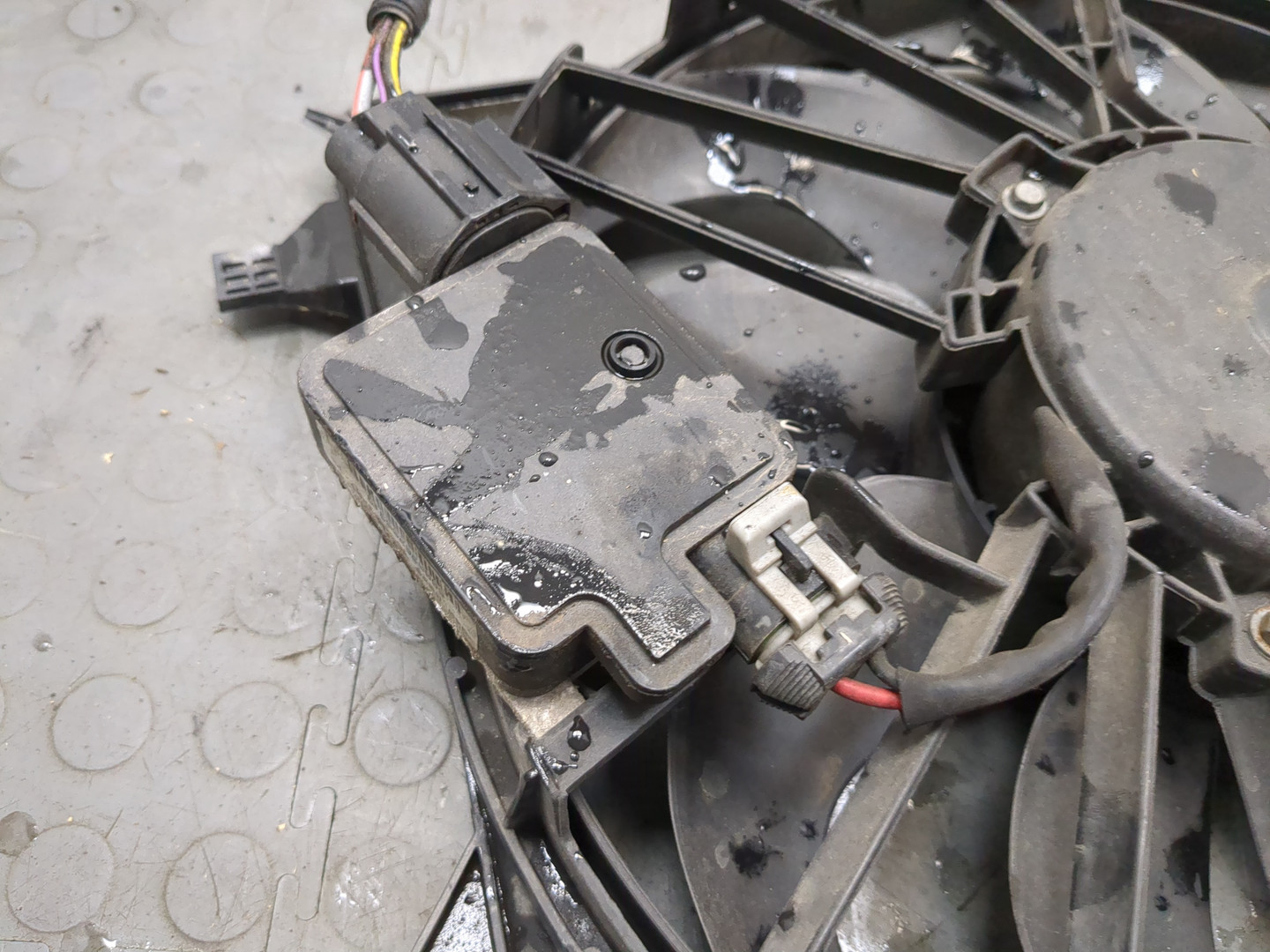 Вентилятор радиатора