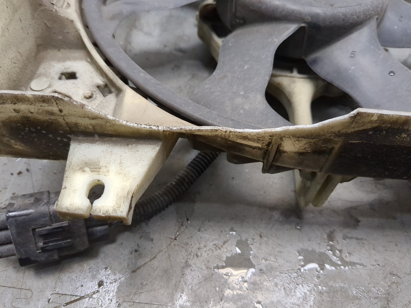 Вентилятор радиатора