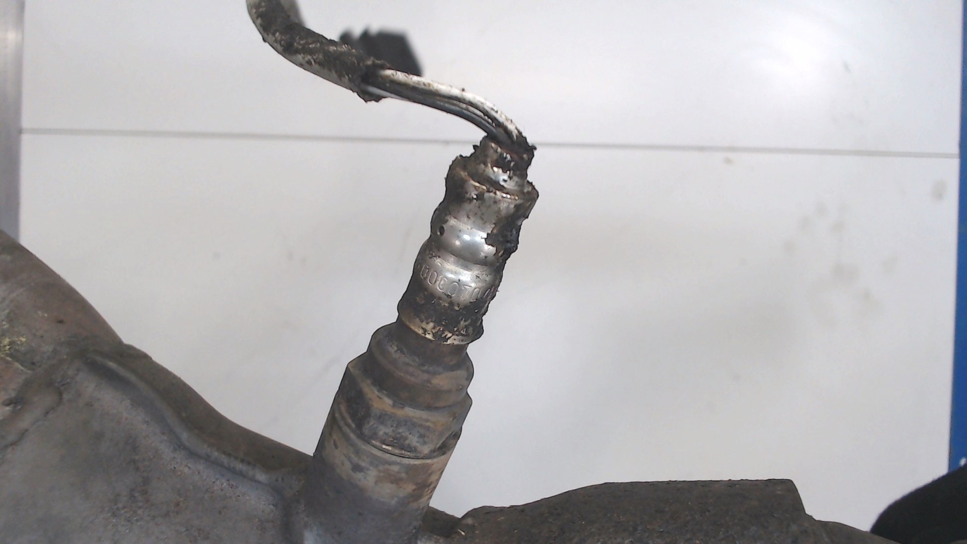 Катализатор