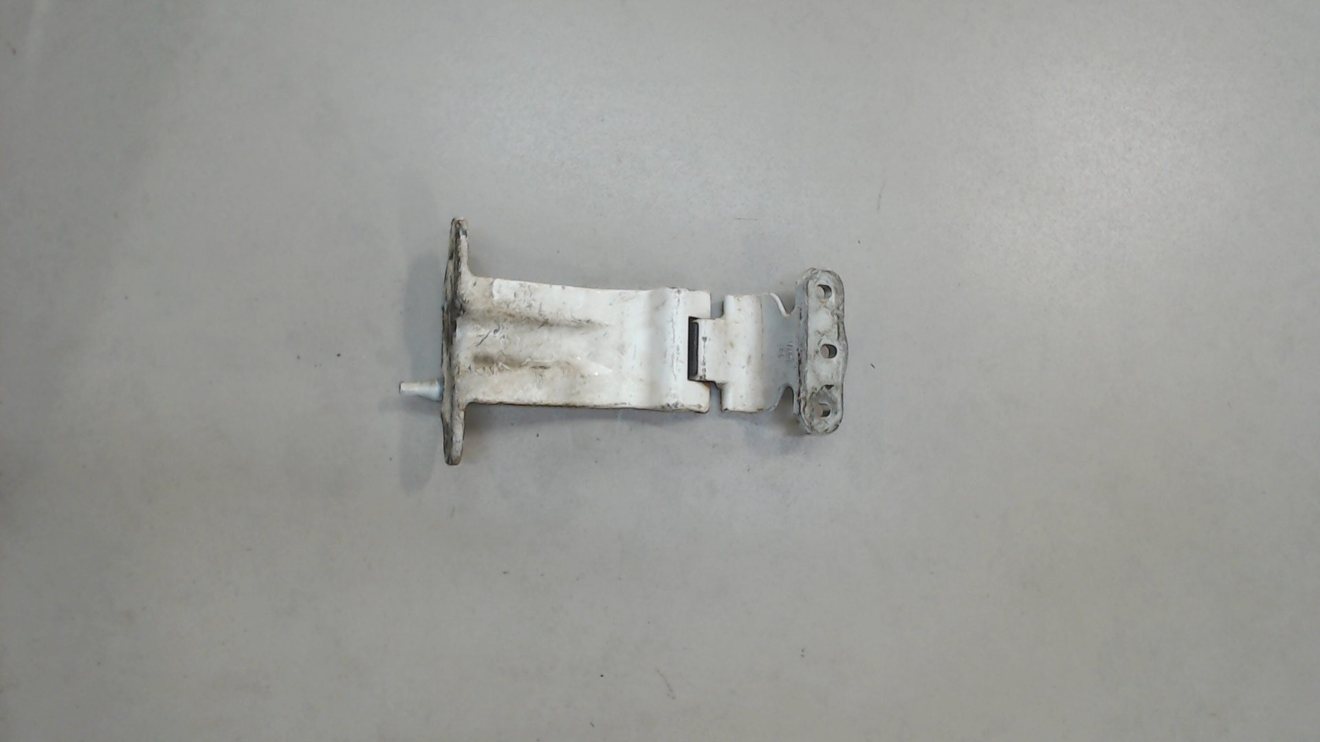 Петля двери задней