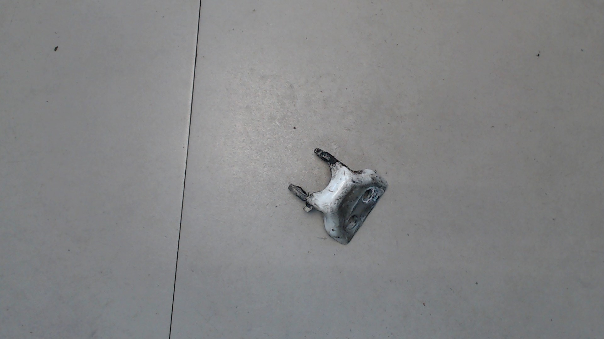 Петля двери задней