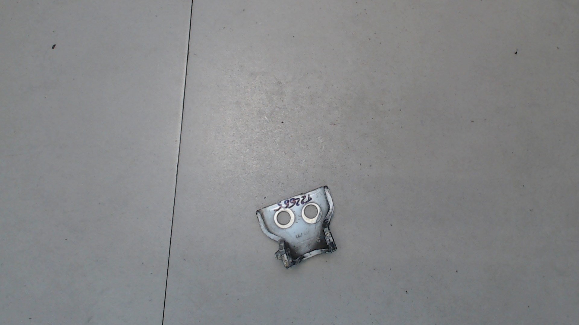 Петля двери задней