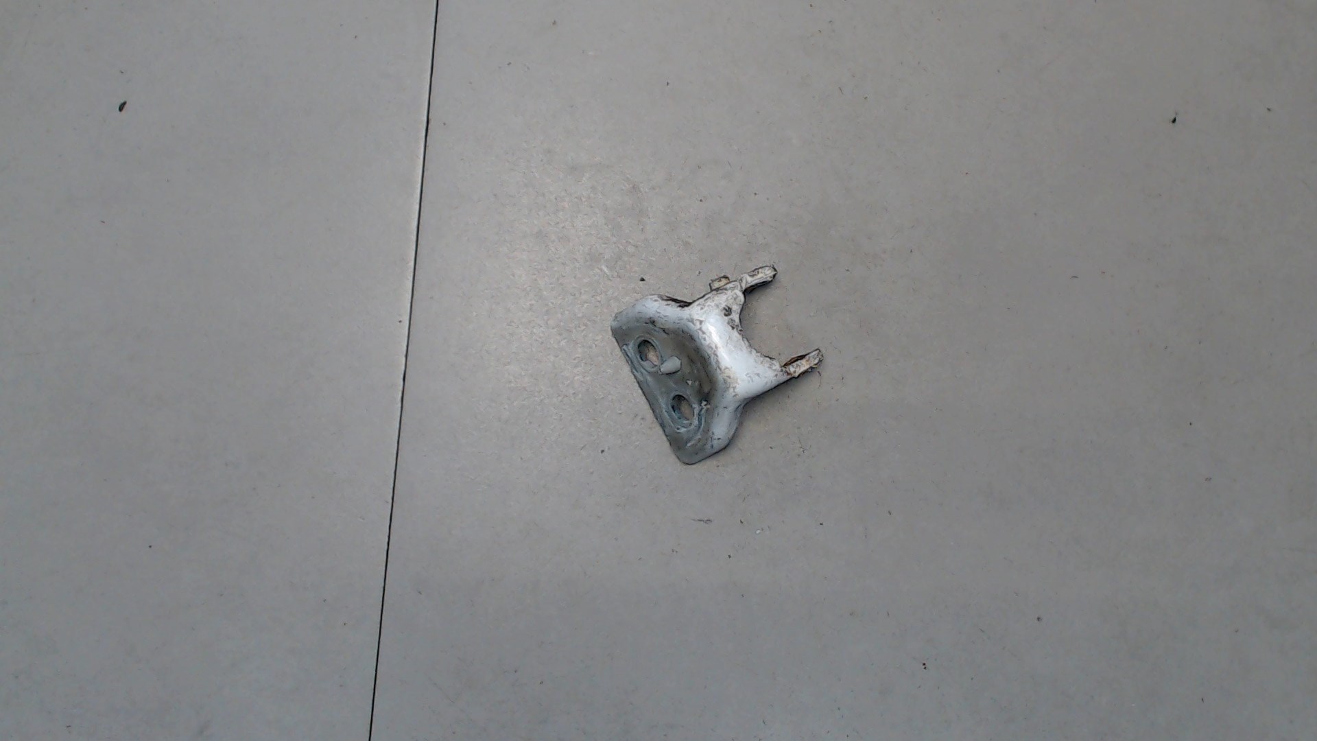 Петля двери задней