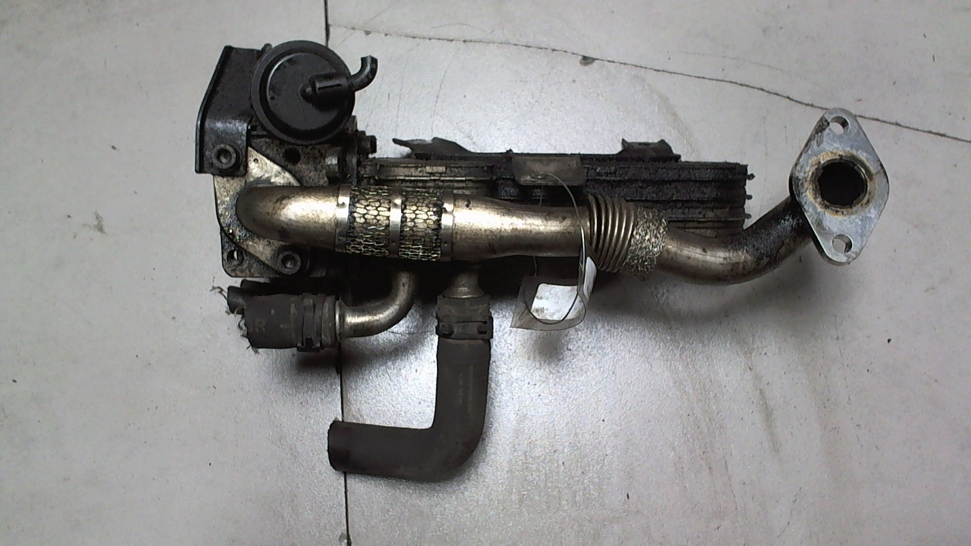 AP-0009069166 AP-0009069166