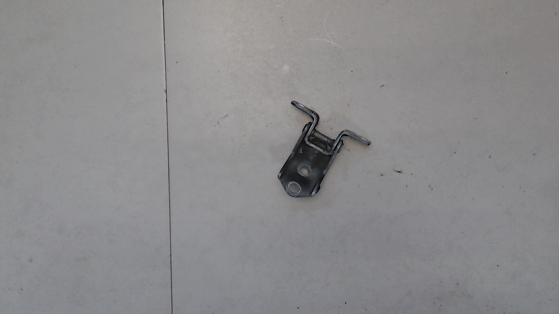 Петля двери задней