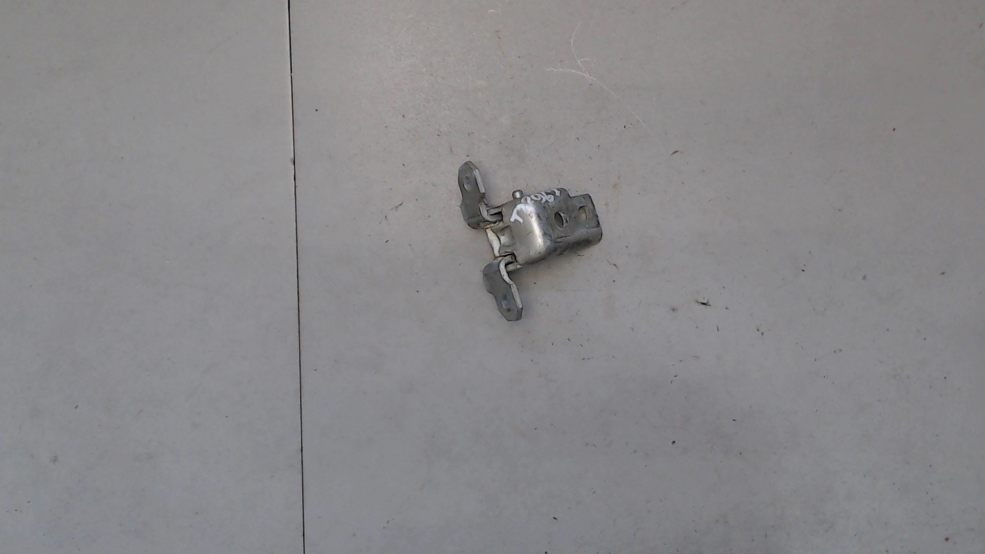 Петля двери задней