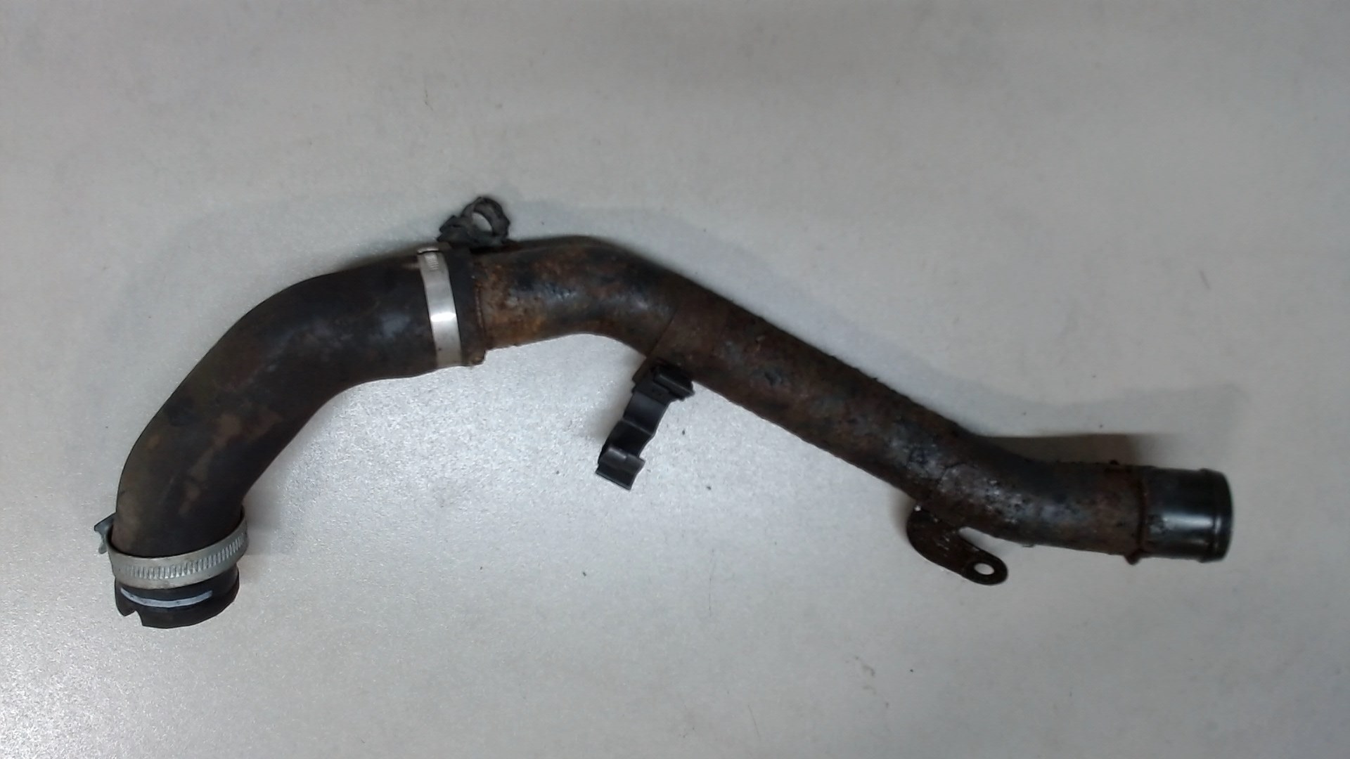 AP-0011273706 AP-0011273706