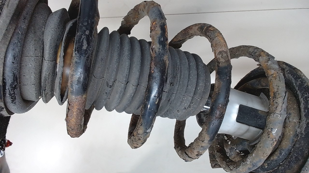 AP-0011324813 AP-0011324813