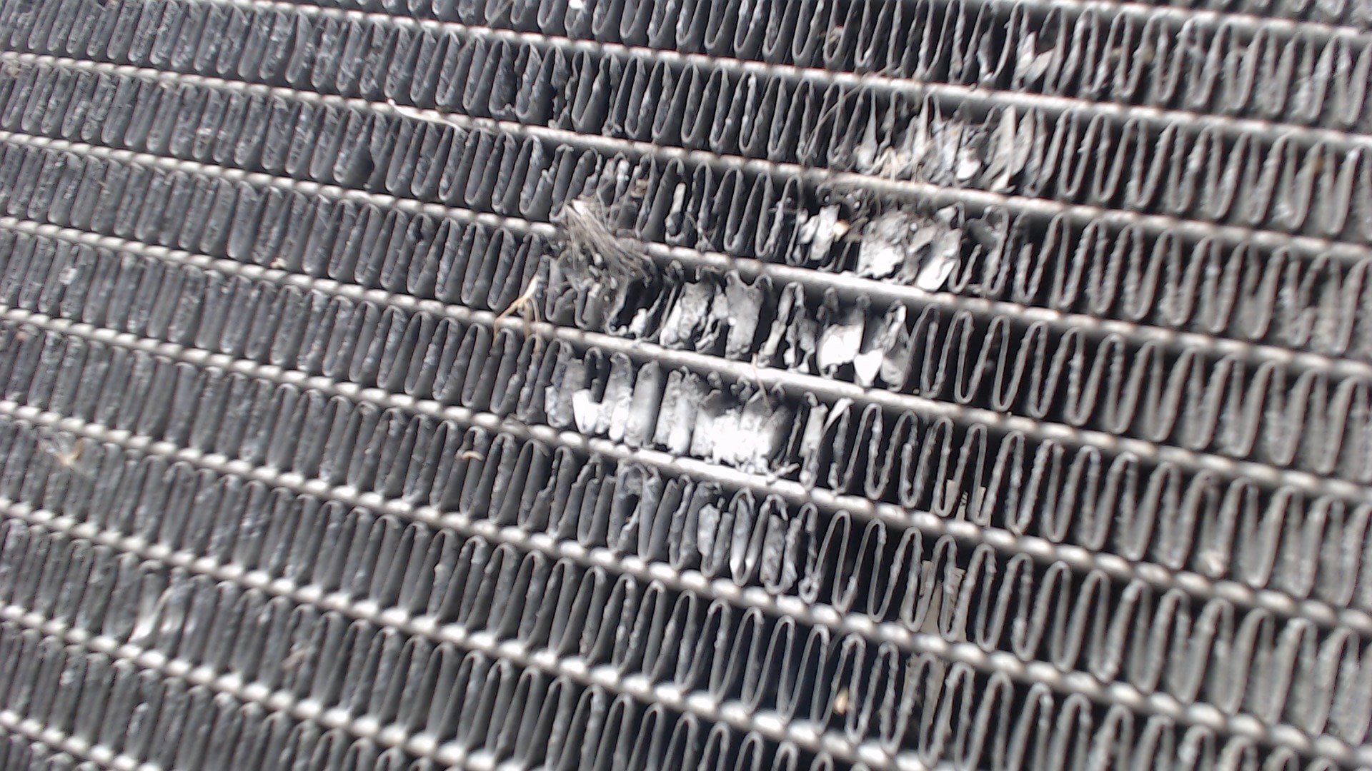 Радиатор охлаждения двигателя основной