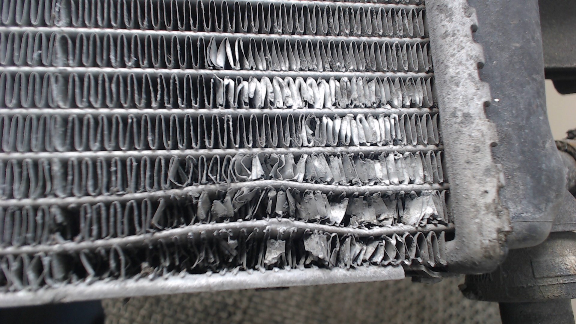 Радиатор охлаждения двигателя основной