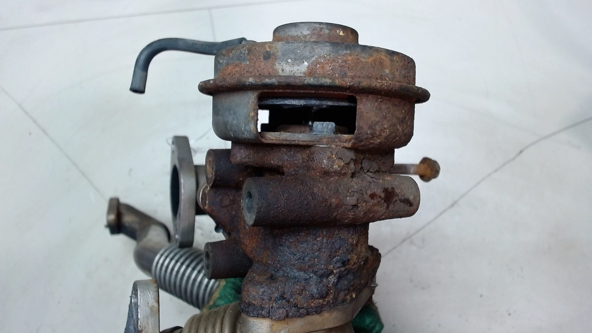 AP-0012090569 AP-0012090569