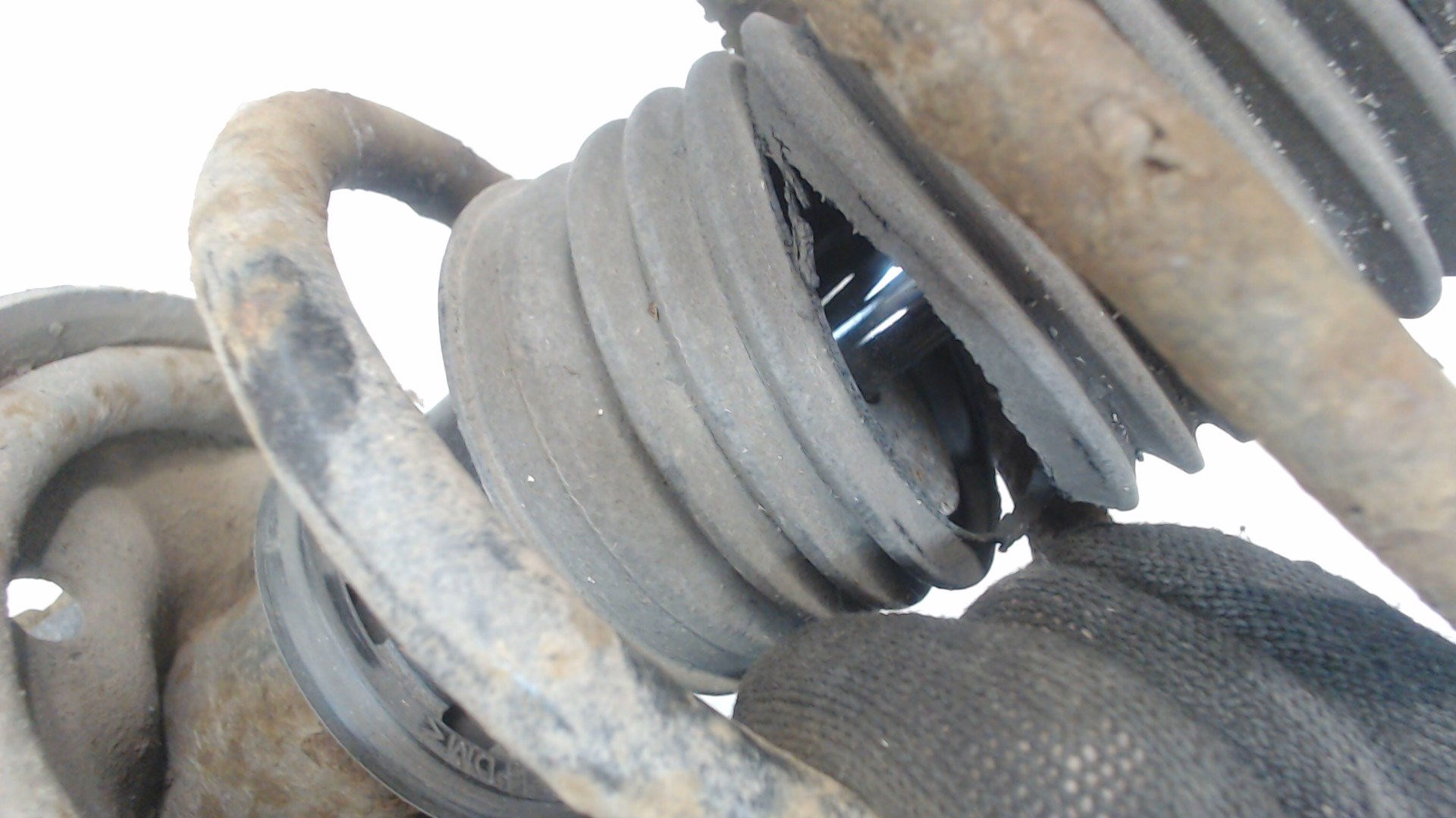 AP-0012388522 AP-0012388522