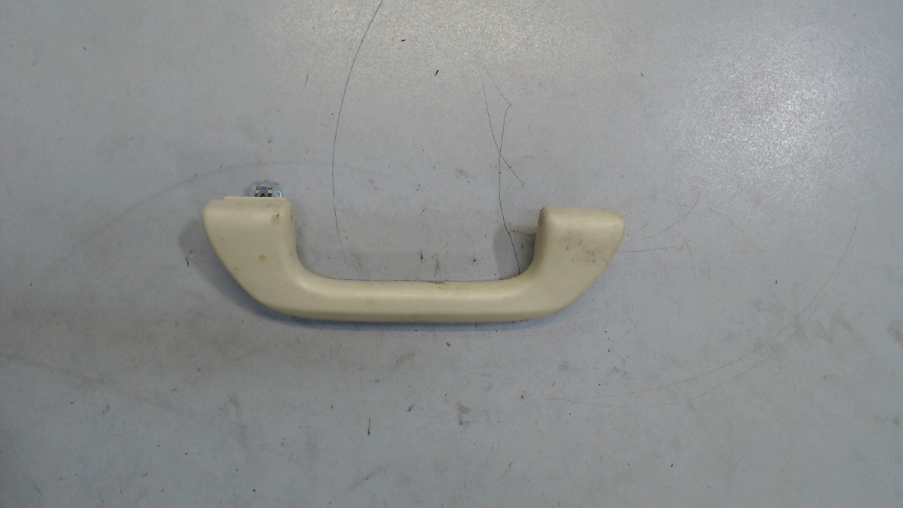 Ручка внутренняя потолочная