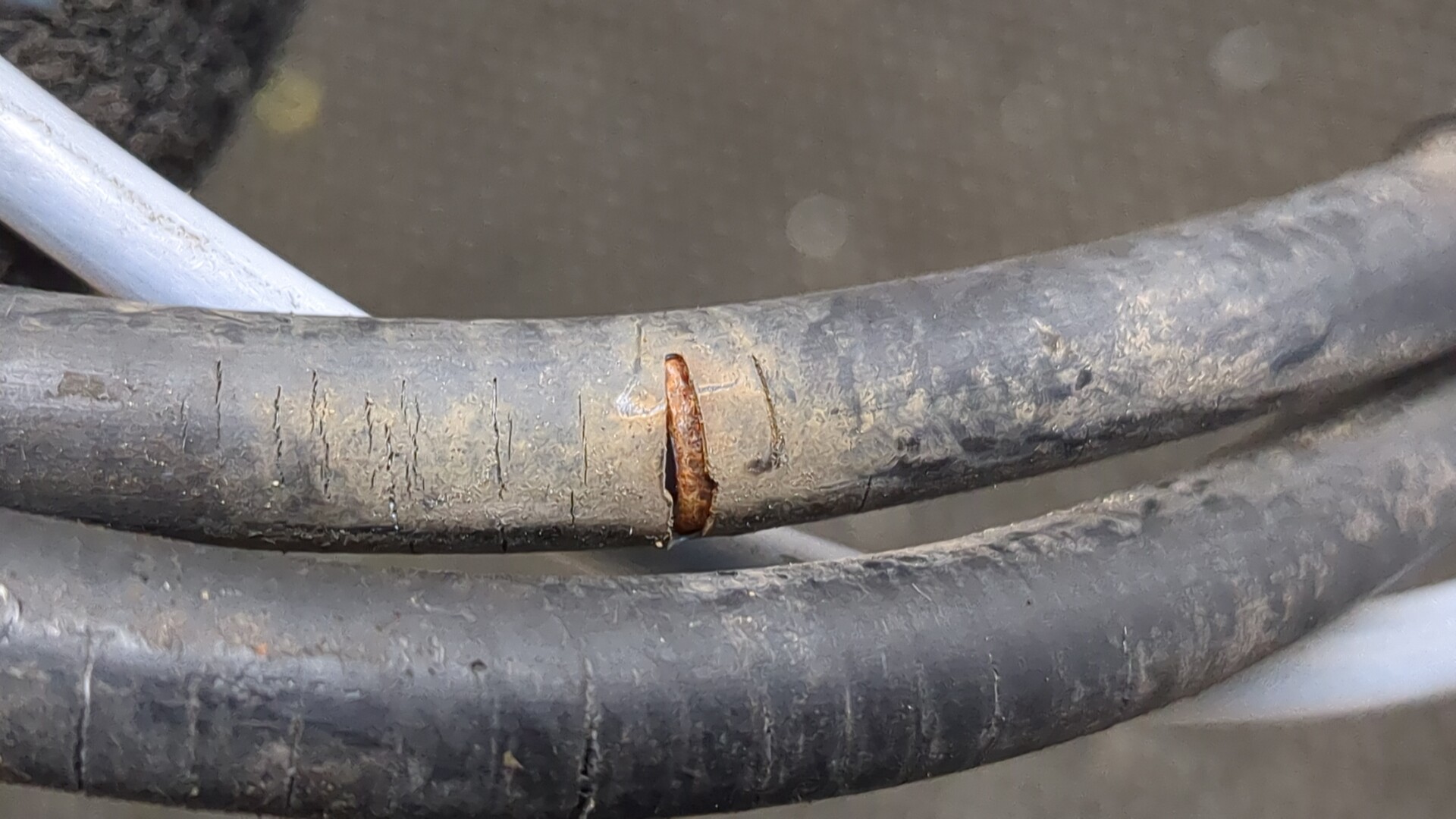 Трос стояночного тормоза