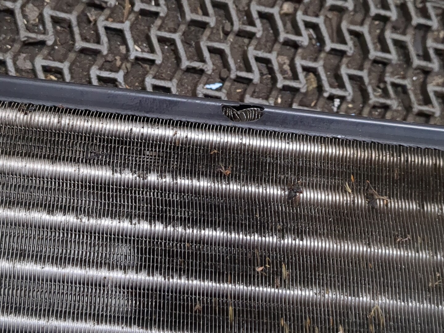 Радиатор охлаждения двигателя основной